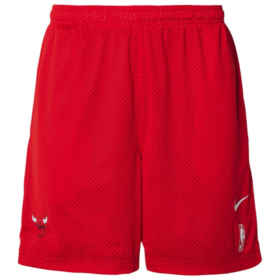 Nike Ανδρικό σορτς NBA Chicago Bulls Mesh Shorts